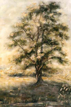 Galerie